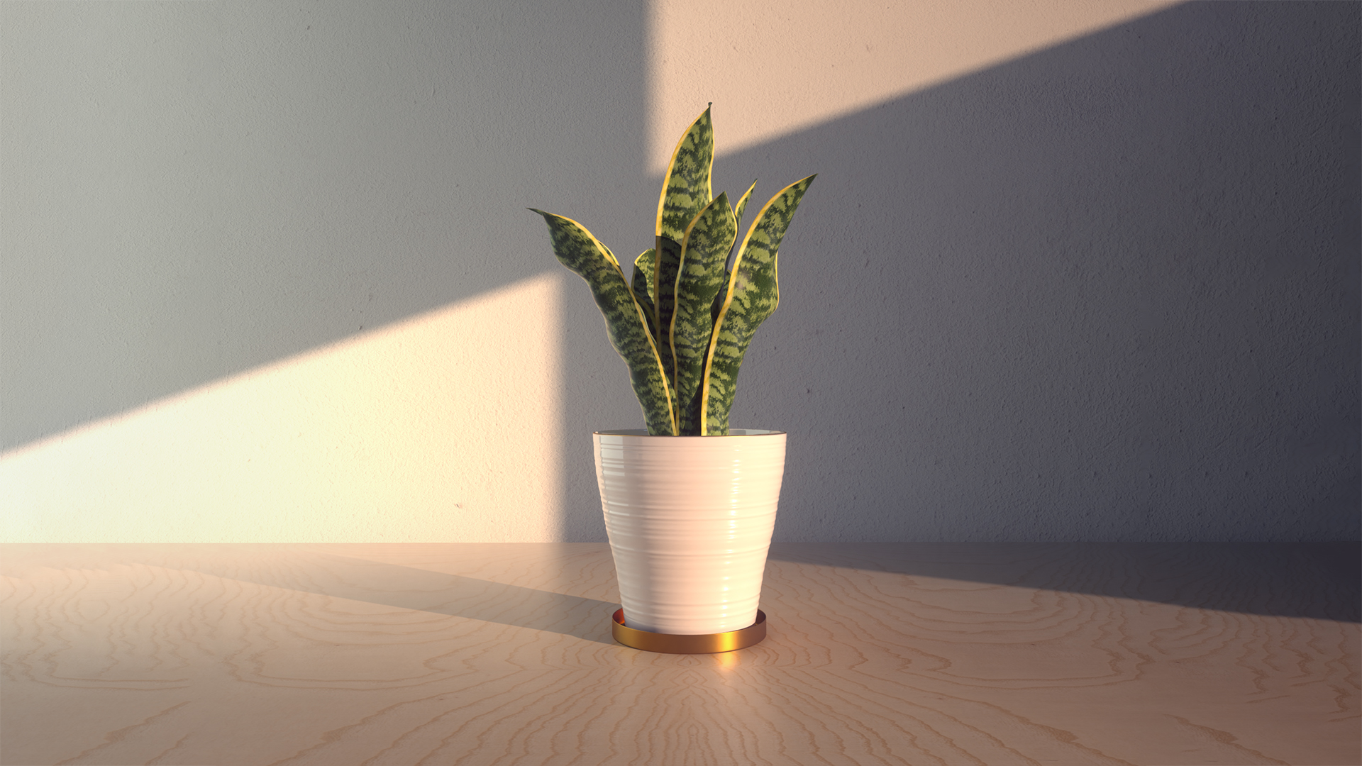 plant